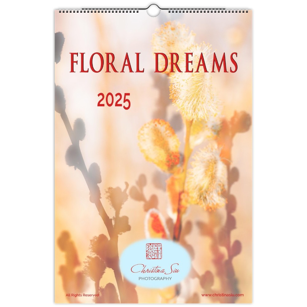 Cover of a ledger wall calendar showing pussy willows in bloom in a subdued orange and yellow color palette. Fonts are in crimson red.